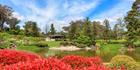 Japanese Garden - Cowra 